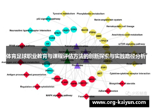 体育足球职业教育与课程评估方法的创新探索与实践路径分析