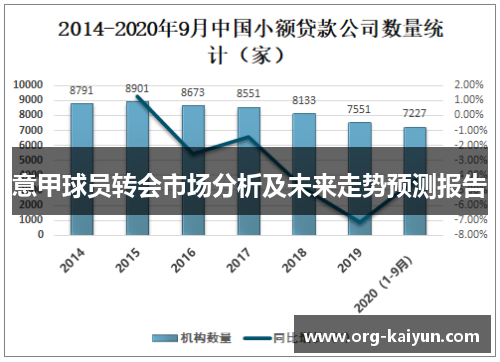 意甲球员转会市场分析及未来走势预测报告