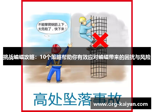 挑战蝙蝠攻略：10个策略帮助你有效应对蝙蝠带来的困扰与风险