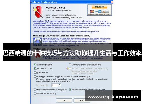 巴西精通的十种技巧与方法助你提升生活与工作效率
