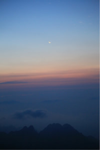 里尔与昂热：一场宿命对决，谁将主宰周四的绿茵战场？