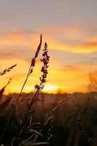 决战之巅：宁夏队以雷霆之势力克强敌，书写荣耀新篇章