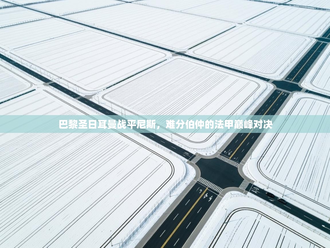 巴黎圣日耳曼战平尼斯,难分伯仲的法甲巅峰对决 第2张